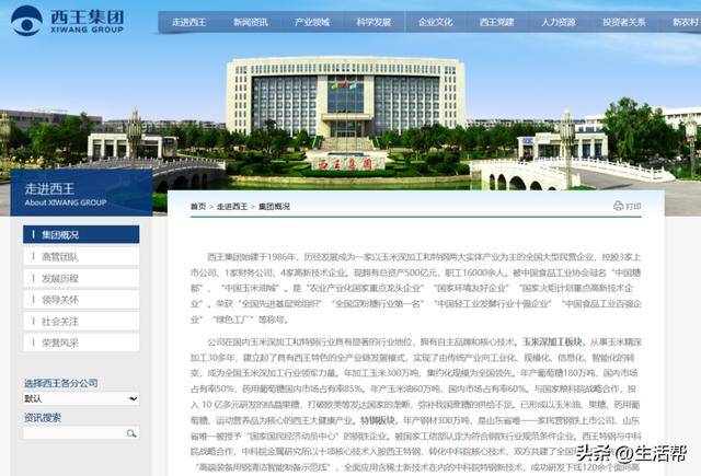 遭官方悬赏，西王集团为何深陷债务危机？