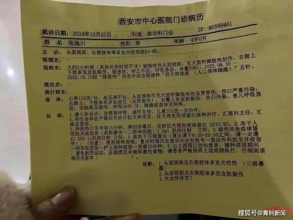 又一起！4岁男童遭恶犬袭击，伤情严重仍昏迷
