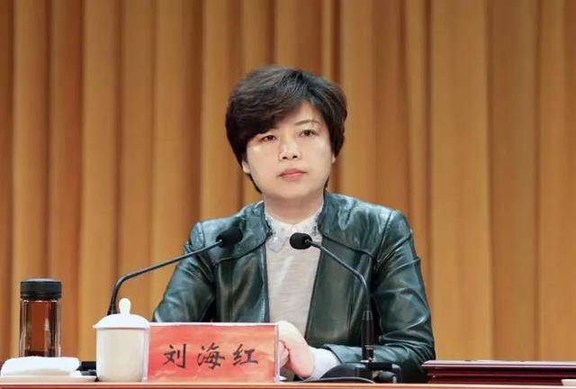 卸任宿迁市委政法委书记后，刘海红新职明确