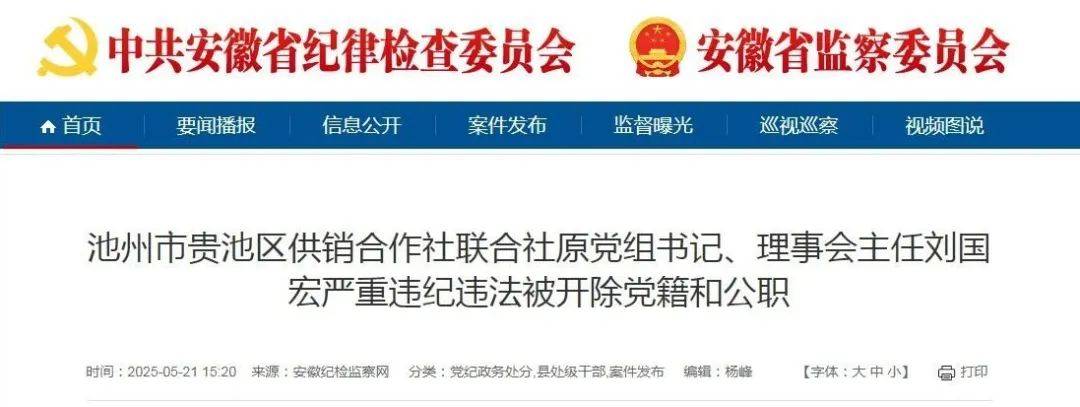严重违纪违法，安徽3名干部被“双开”